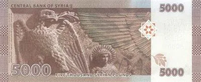 Сирия: 5000 фунтов 2023-2024 г. (реверс)
